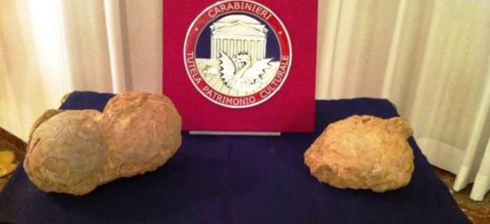 oua de dinozauri pitici 