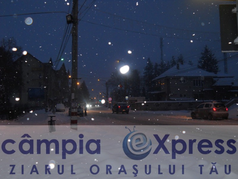 zapada 5 februarie campia turzii 03
