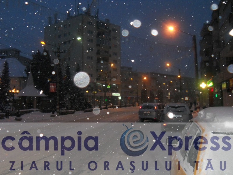 zapada 5 februarie campia turzii 07