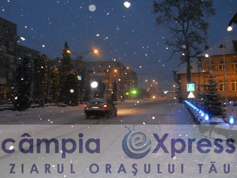zapada 5 februarie campia turzii 09