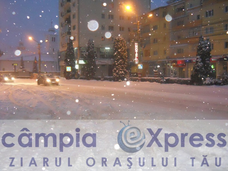 zapada 5 februarie campia turzii 10