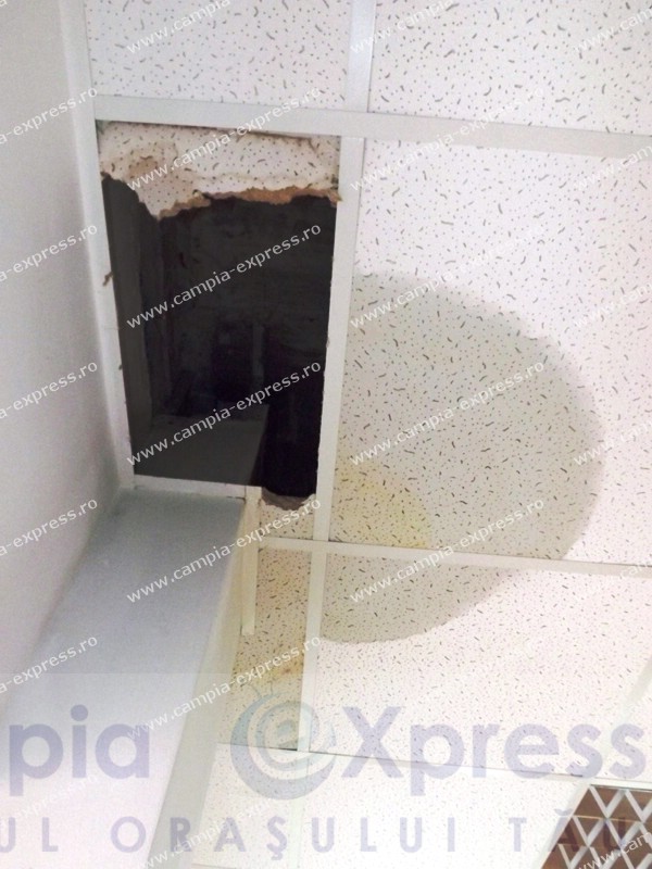 incubator campia turzii 13