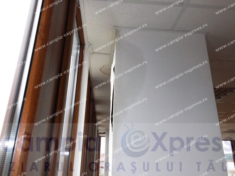 incubator campia turzii 15