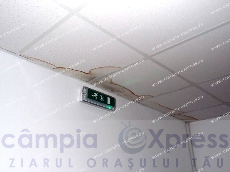 incubator campia turzii 25