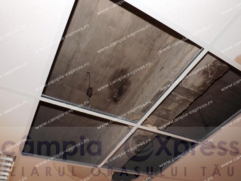 incubator campia turzii 9