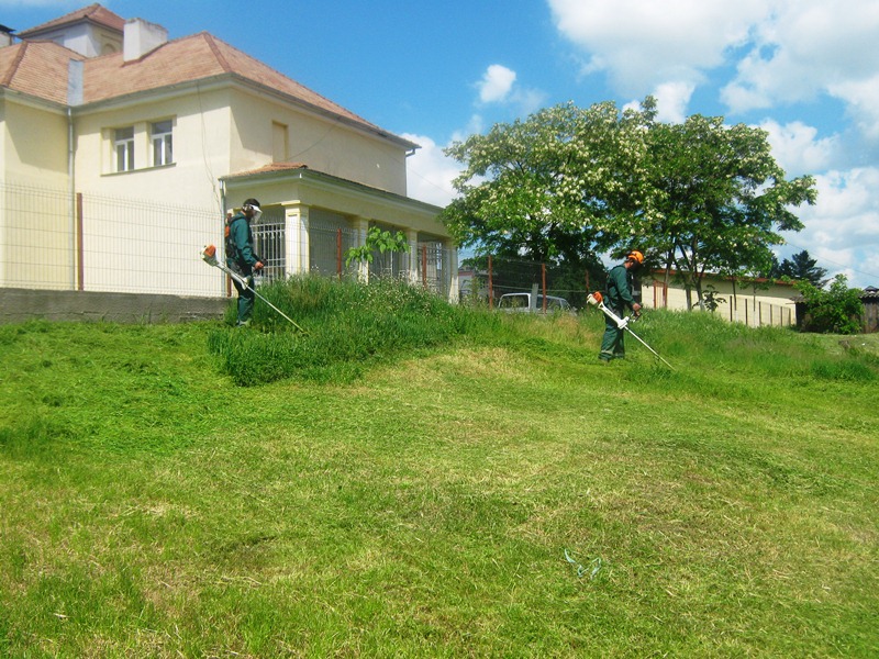 compsal spatii verzi 1