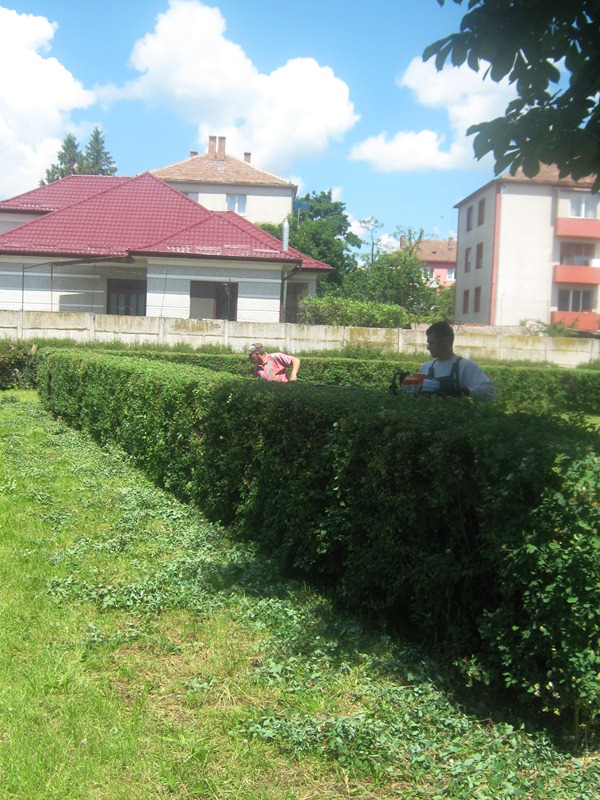 compsal spatii verzi 2