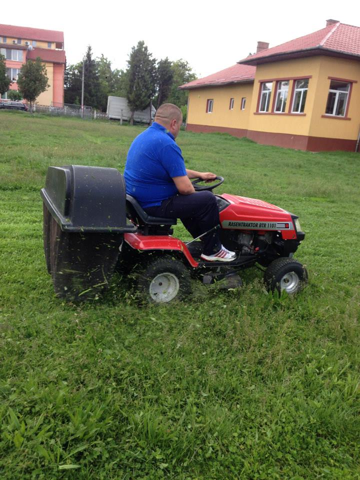 compsal spatii verzi 3