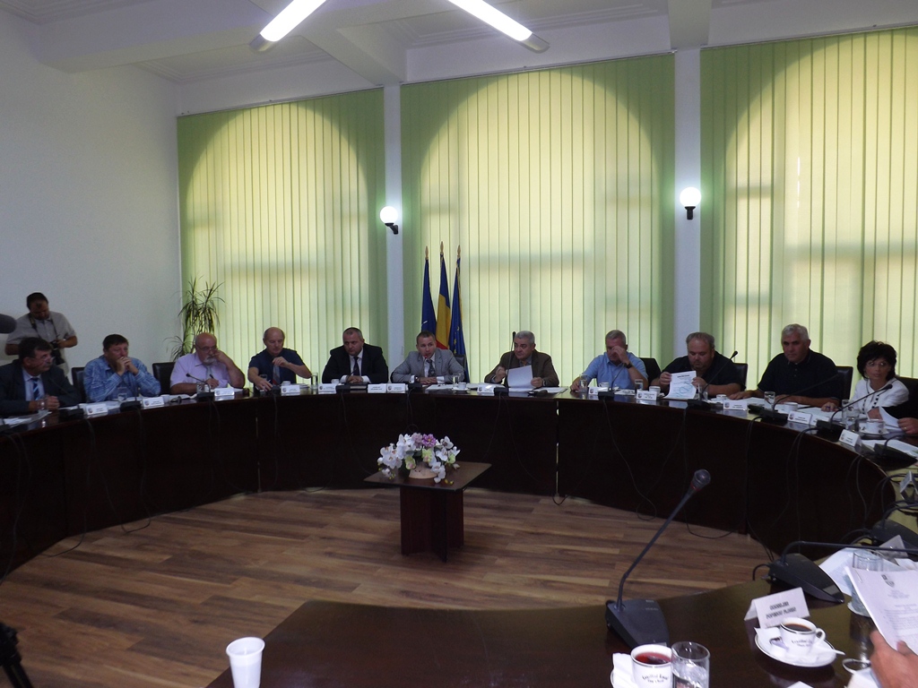 consiliu local sept 2014