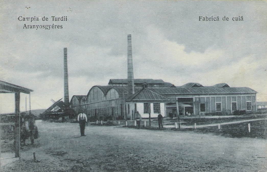 industria sarmei campia turzii 1924