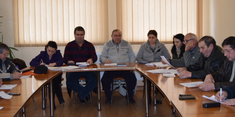 consiliul local luna 2016