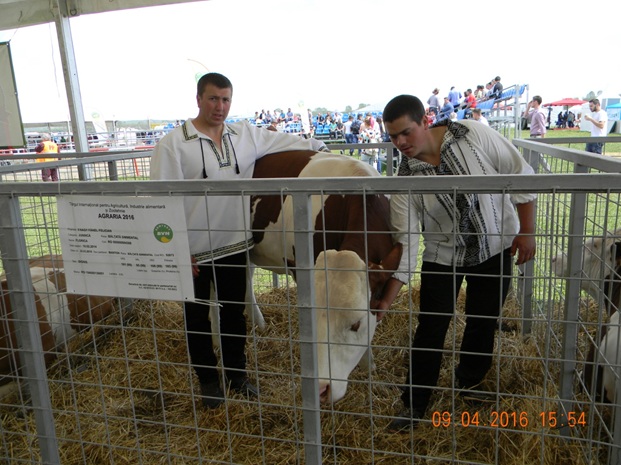 agraria nagy fanel 1