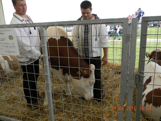 agraria nagy fanel 2